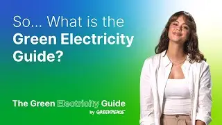 What is the Green Electricity Guide?