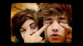 one direction bromance: lirry stayne {liam&harry} .