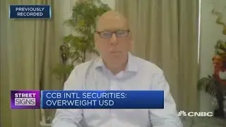 Global risk correction will drive the greenback higher: Strategist