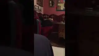 Chouha Bachir Skirej