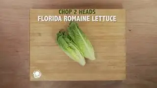 Fresh! Florida Orange and Olive Salad