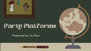 What is a Party Platform?
