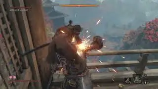[Sekiro] Armored Warrior Glitched