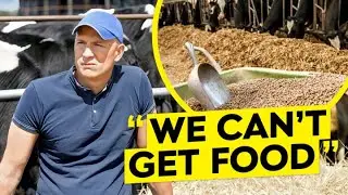 Dairy Farmers Fear The Future As Food Prices SOAR...