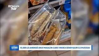 15.000 lei amendă unui magazin care vindea sendvișuri cu mucegai