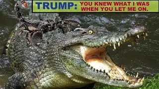 Why I Won't Vote for Donald Trump OR Joe Biden!