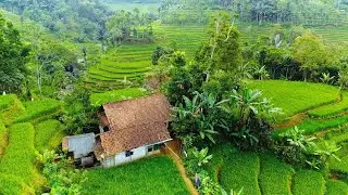 Emak! Ini Gambar Pemandangan Alam Tasikmalaya, Suasana Pedesaan Jawa Barat, The Village Of Beautiful