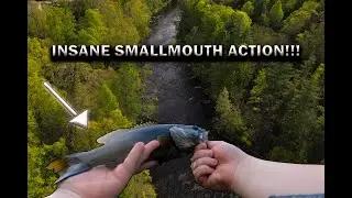 The Bite Was INSANE!... Fishing for Smallmouth On the Pigeon River!!