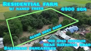 Lot#742 Residential farm w/ Mango trees, G-milinas, near national road, 100 mtrs frontage.