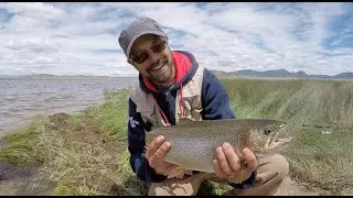 Colorado Wickedfisha- S1E6: Slaying Gold Medal Trout at Spinney Mountain