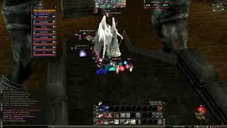 nQQ PARTY
