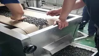 Continuous microwave black beans roasting machine nut roaster