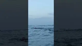 #swimming #freestyle #openwaterswim #technique #breath #lifestyle #explore #motivation #youtube