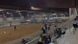 HRW Indoor True Box heavy Jeffery&rsquo;s Feature 