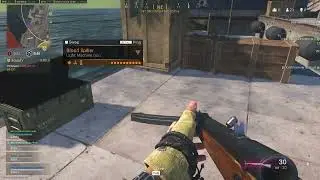 Call of Duty Warzone Pacific - Invisible LMG (Bloodspiller, Bren) // Season 2