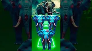 Zombie Elephant🐘| Tiles Hop Animals Dance #tileshop #tileshopedmrush #tileshopgameplay #tileshopgame