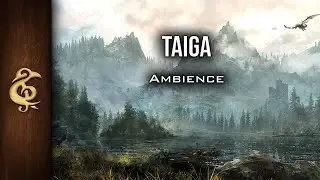 Taiga | Cold Forests, Skyrim, Nature Ambience | 1 Hour #dnd