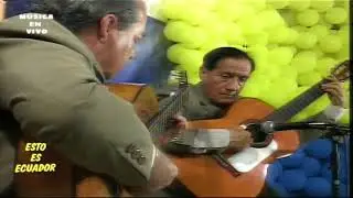 AMOR LOCO AMOR   TONADA   LOS GATOS