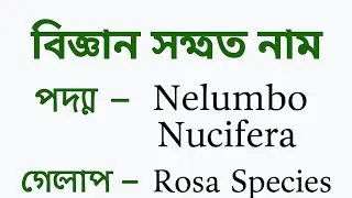 🔹 &ldquo;ফুল ও ফলের বৈজ্ঞানিক নাম | Flowers & Fruits Scientific Names | Biology GK Bangla&rdquo;