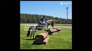 I love him #eventing #equestrian #horse #apollo #fyp