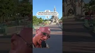 Следующая поездка в Диснейленд забронирована!