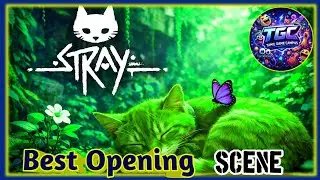 Best Opening Scene 🤩/ STRAY Gameplay 😁