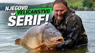 Riba 30+ s Lapovca!