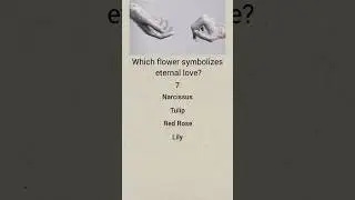 Which flower symbolizes eternal love? | #RedRose #FlowerLovers #FloralLove #ForeverLove #Love |