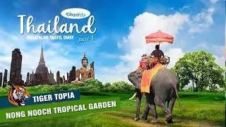 THAILAND | Part 1 | TIGER TOPIA | NONG NOOCH GARDEN | Royal Sky Holidays