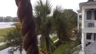 Robert Dunn Irma last update 12:00