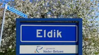 Kersenbloesem in Eldik