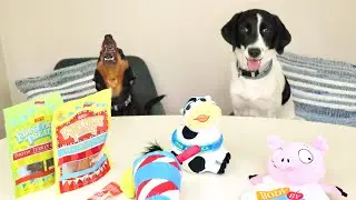 Excited Pups Unboxing BarkBox August 2020