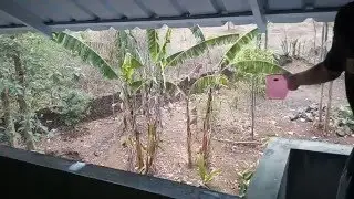 LeTV 1s Slow motion video testing