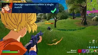Damage opponents within a single match in Fortnite Dragon Ball Quest
