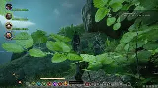 Dragon Age  Inquisition 2020 05 20 21 48 00