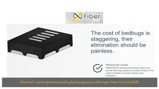 top bed bug product in new york city 2020 |                                                 Fiber...