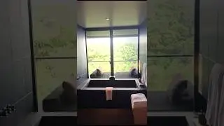 Amanemu