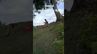 part 2 mancing tempat kumpul ikan baung. #baungmonster  #mancingmania #matapancing  #strikemancing