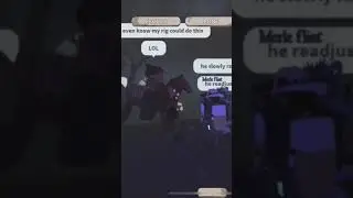 jumping jacking horse