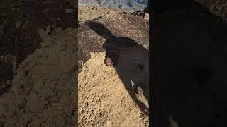 Петроглифы, подвергшиеся вандализму. Смотрите только своими глазами. #калифорния #восточнаясьерра