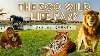 UMM AL QUWAIN ZOO TOUR 15-02-2025 #vlog #vlogger #vlogs