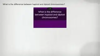 What is the difference between haploid and diploid chromosomes?