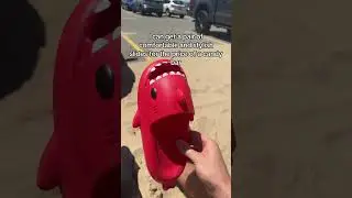 Affordable shark slippers trending now! #sharkslides #slippers #viral