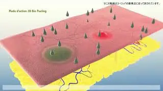 2B BIO BEAUTYプロモーション動画2025.7