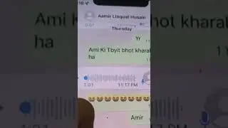 Aamir Liaquat Audio Leak Proof | Divorce Dania Shah