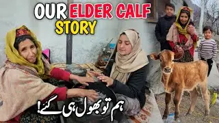 Missing Cow Calf Reality 🤔🐄 | Real Rural Life of Gilgit Pakistan😍❣️ | Why Is the Cow Calf Missing? 