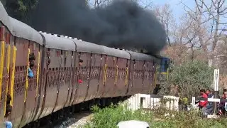 journey from Bahraich to Nanpara junction by 52263 Bahraich-Nepalganj road(BRK-NPR) passenger