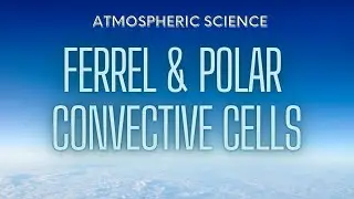 What Are The ‘Ferrel Cell’ & ‘Polar Cell’ In The Atmosphere?