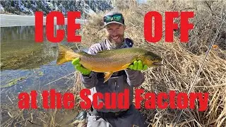 Fly fishing ice off at the Scud Factory