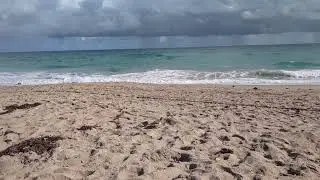 Making friends at Jensen Beach. port St Lucie 